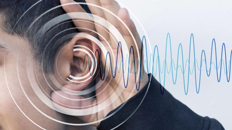 Bruits de voisinages