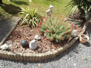 concours "mon beau jardin" 2022 - 6