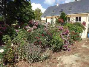 concours "mon beau jardin" 2022 - 4